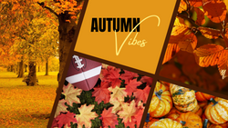 Don't Turn Off The Football Game