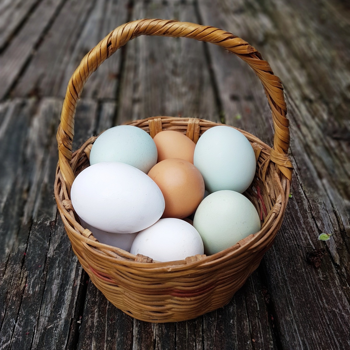 Diversification - The Worst Way to Invest Except All Others