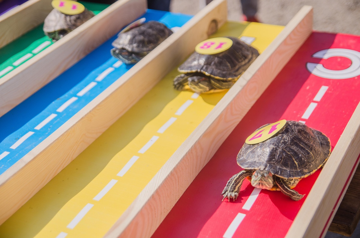 Slow and Steady Wins the Race