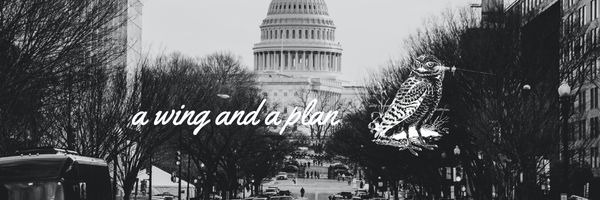 SECURE Act 2.0: The Law of the Land