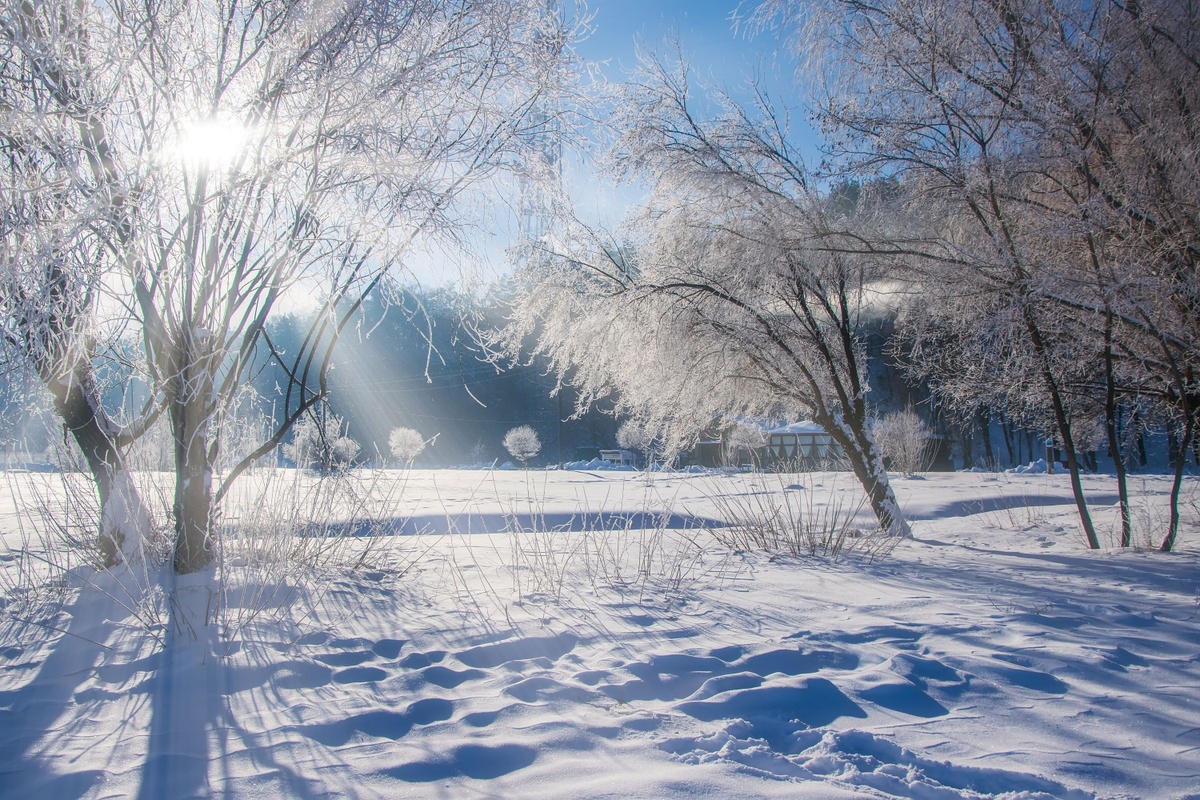 Participant Corner: Winter Word Search