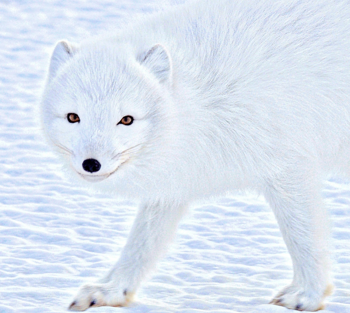 Weekly Market Insights: Fed Talk Boosts Stocks