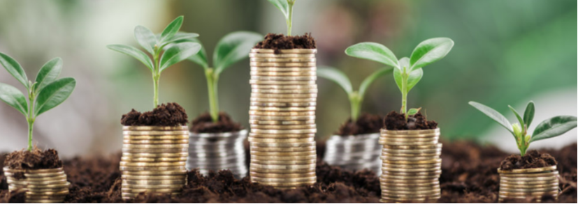 Keeping Your Company Fresh With Value Drivers
