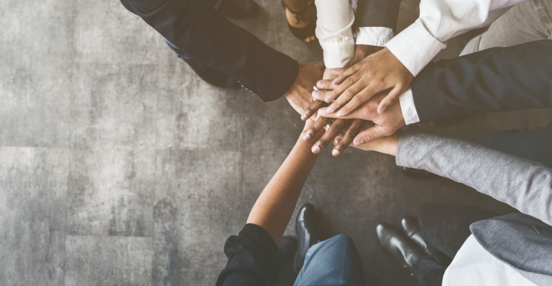 What Makes Your Team Special?