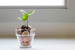 Financial Wellness Month
