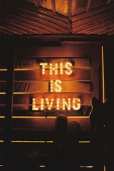 Vision, Mission, Purpose: The Foundation for a Life You Love