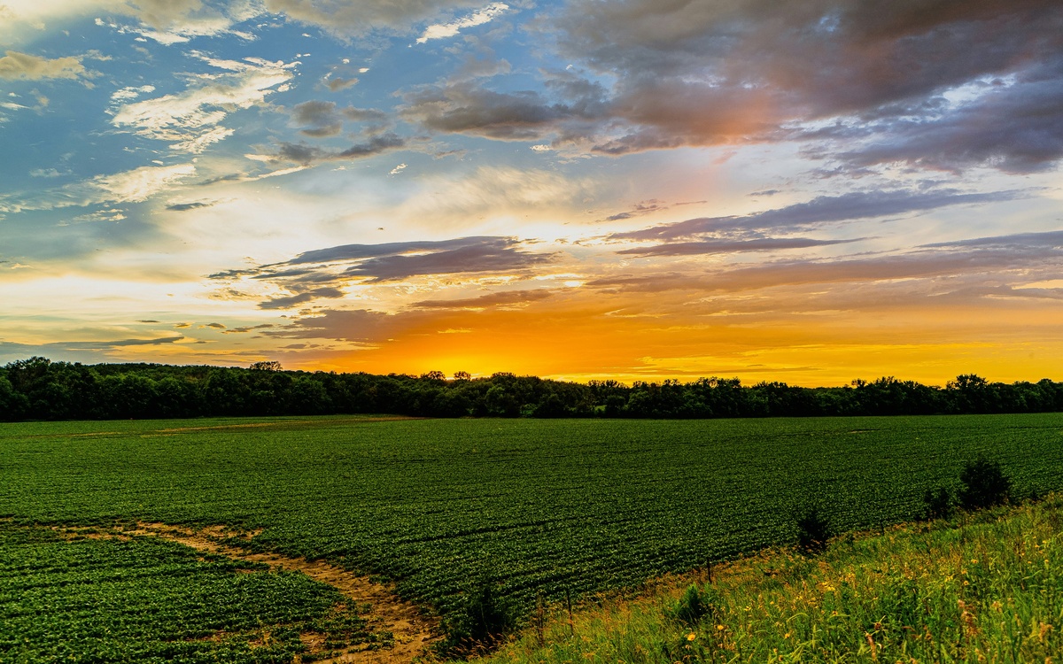 Farm Roth Conversions: Balancing Volatile Revenue with Long-Term Estate Transfers