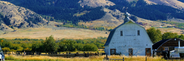 The Montana Property Tax Rebate: What You Need to Know