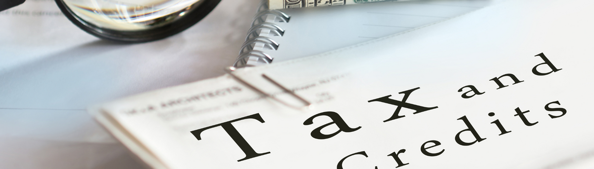 What You Need To Know for the 2024 Tax Season About Credits, Deductions, and Policies