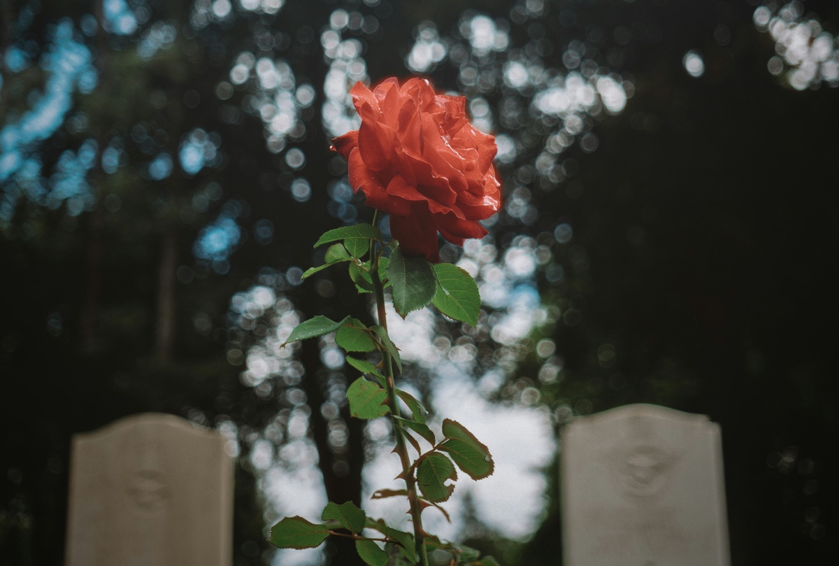 Survivorship Life Insurance in Estate Planning
