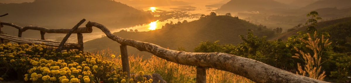 Estate Strategies to Grow Wealth for Generations