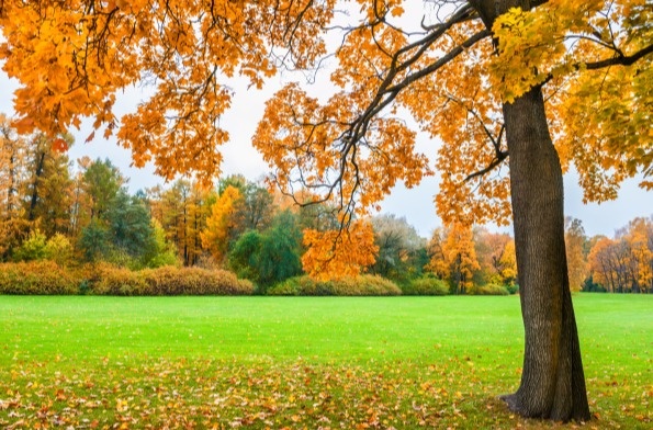 FINANCIAL PLANNING FOR $750K+ PORTFOLIOS IN RETIREMENT IN ST. LOUIS, MO