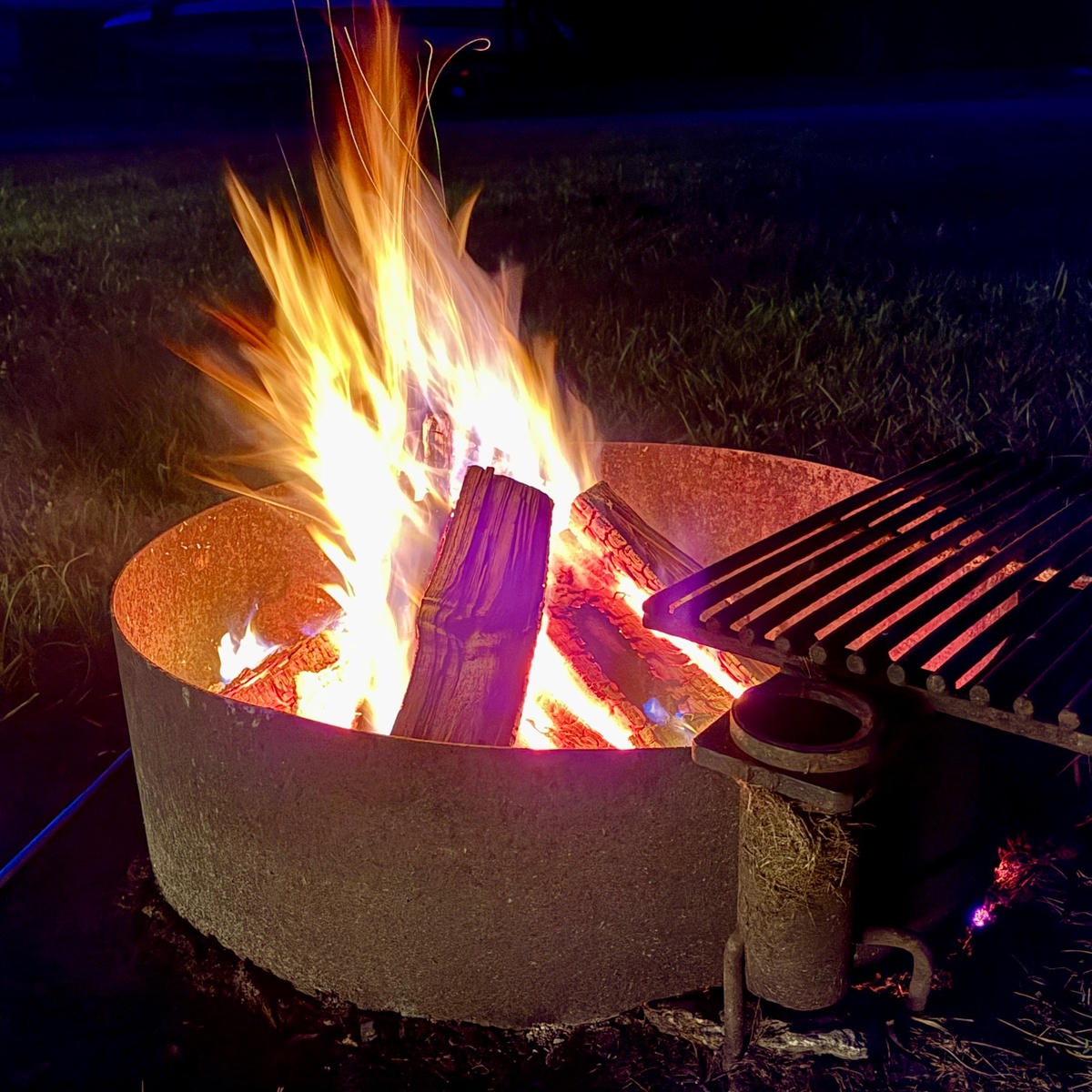 Summer Musings and Reads
