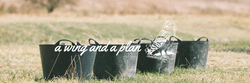 3 Investing Buckets