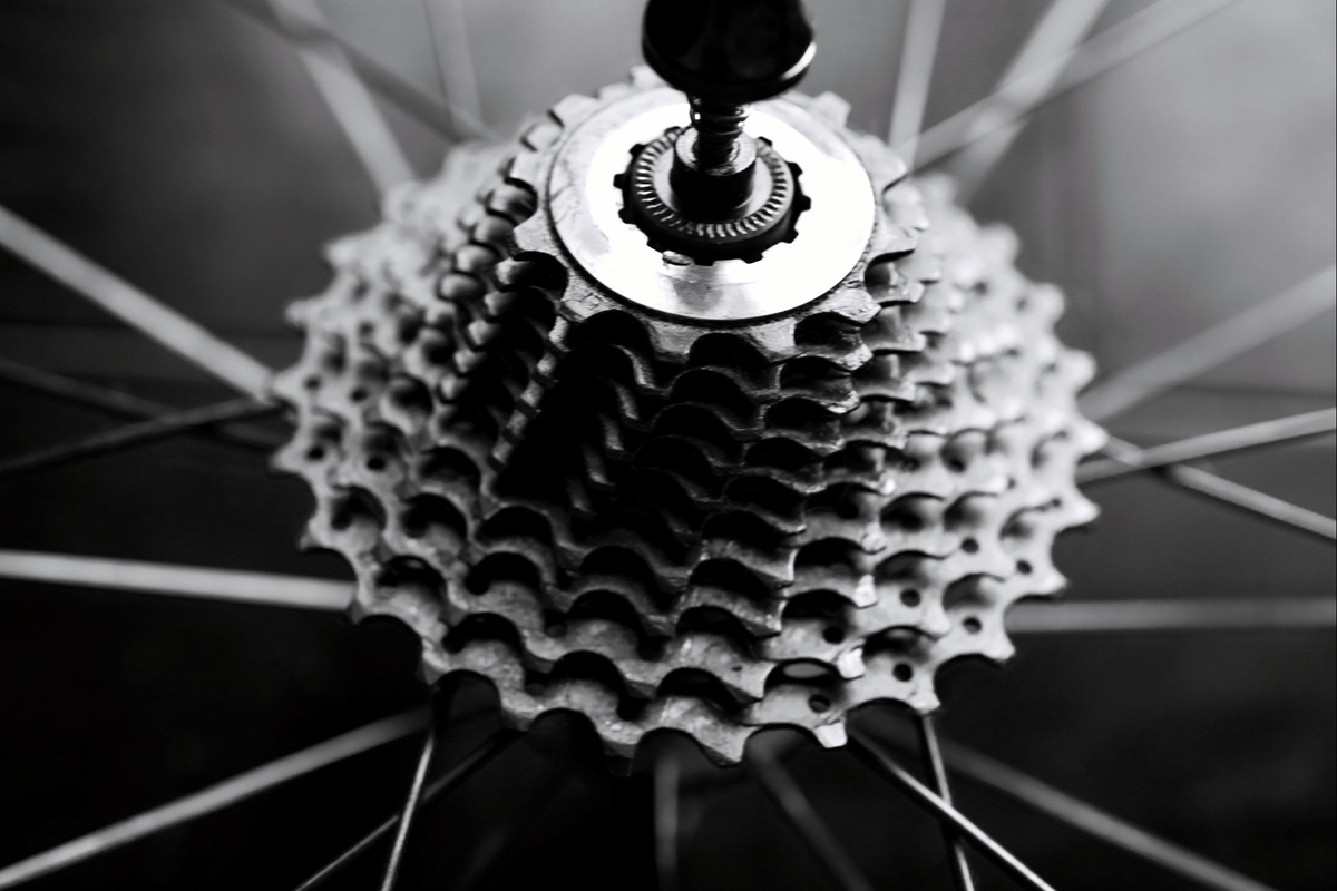 Spinning Wheel…What Goes Up