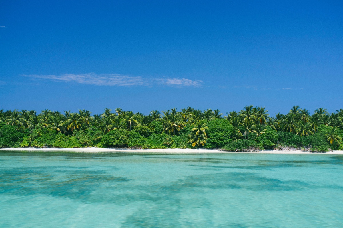 A Summer Benefits Check-Up: Are Employees Using (and Valuing) What You Offer?
