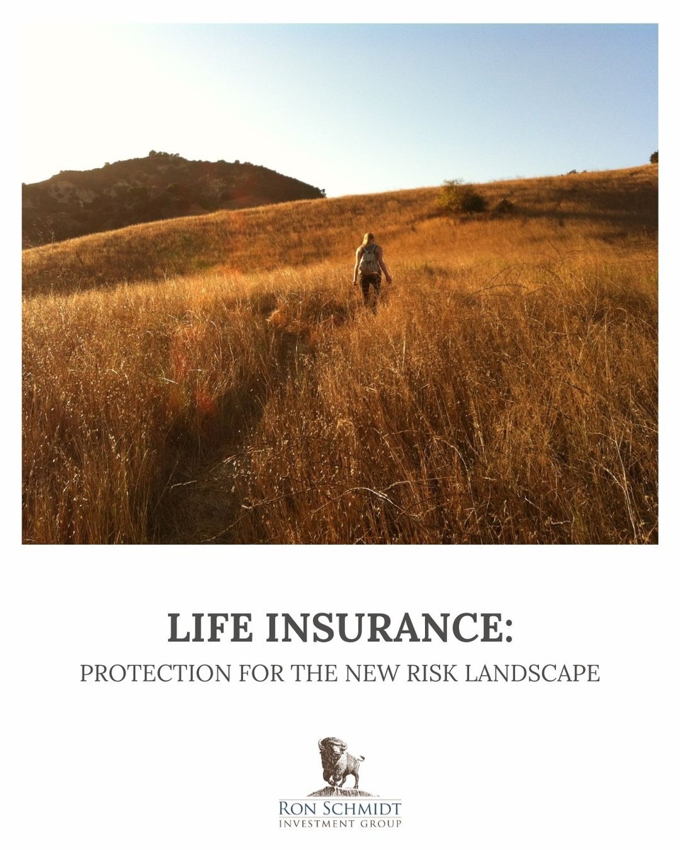 Life Insurance: Protection for the New Risk Landscape