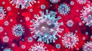 Omicron Variant: What We Need to Know