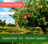 Market Update - September 2023