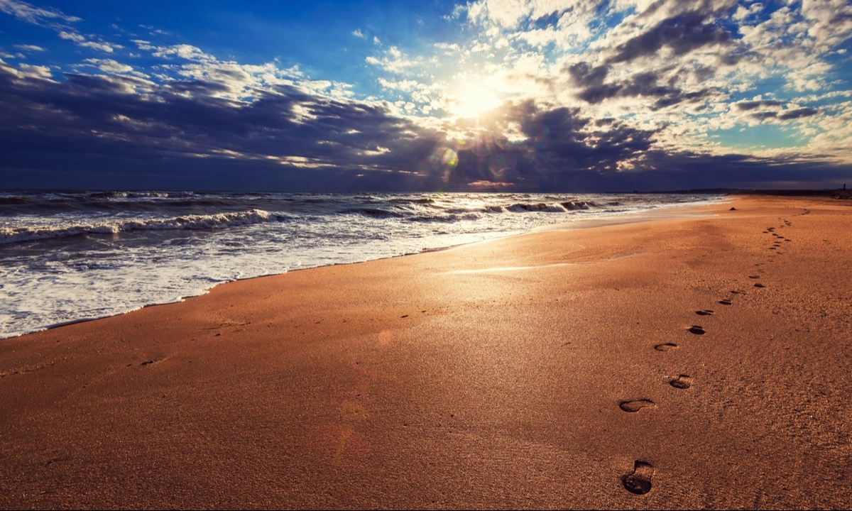 A Legacy of Trust: Essential Family Conversations