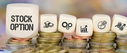 Concentrated Stock Solutions for Professionals with Equity Compensation Rewards