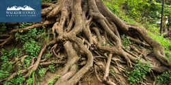 An Introduction to Estate Planning for the Sandwich Generation