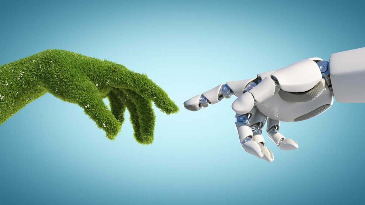 AI for Good: What Whales, Wildfires, and Early Warnings Can Teach Us About Prevention