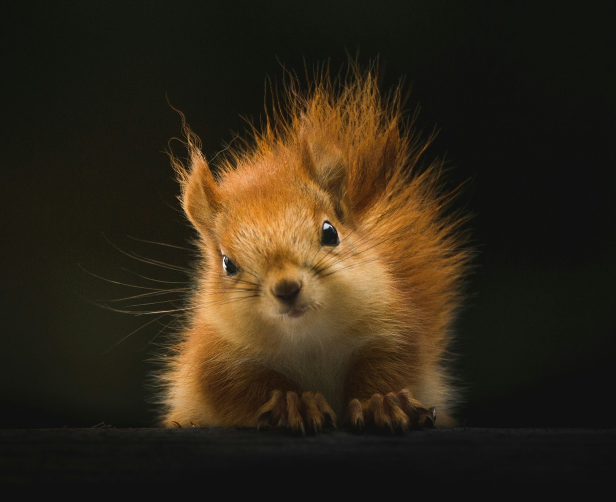 Weekly Market Insights: Markets Take a Breather After Mixed Week