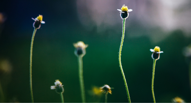 The Need for Evolving Financial Planning
