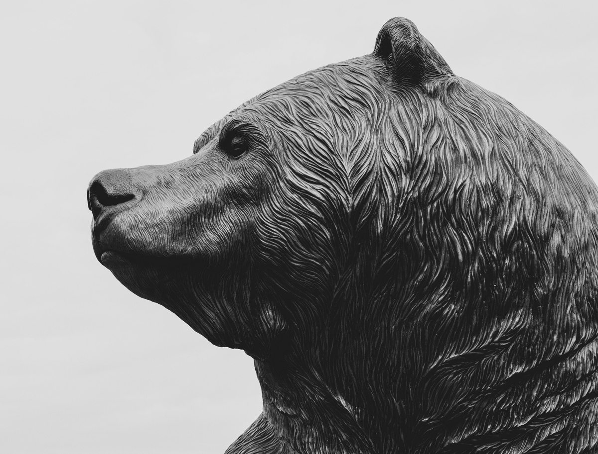 Is the Next Bear Market Coming?