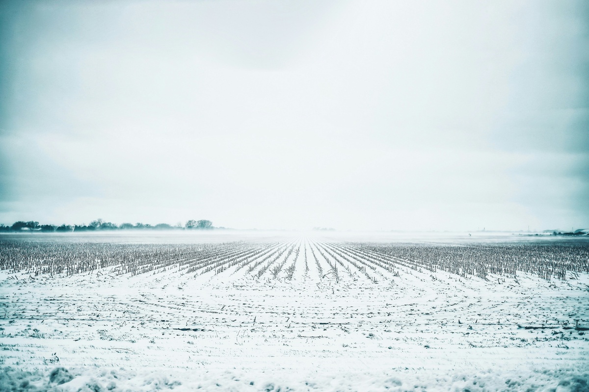 What to Do if Your Car Is Damaged in a Hailstorm in Nebraska