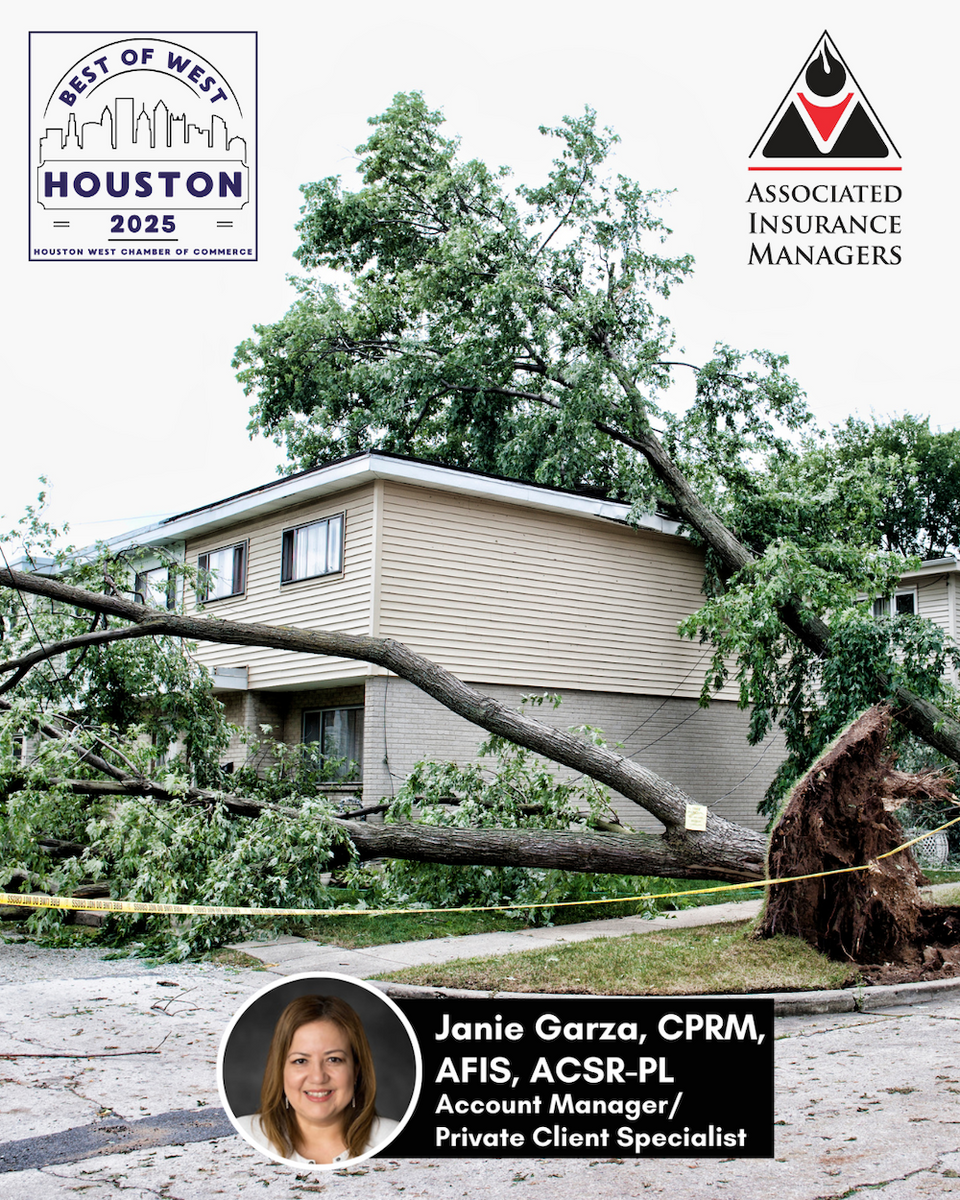 A Tree Fell on Your House—Now What? Steps to Take After Roof Damage
