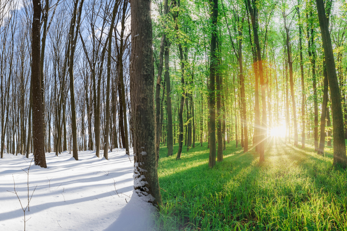 Retirement is not a date. It is a transition.
