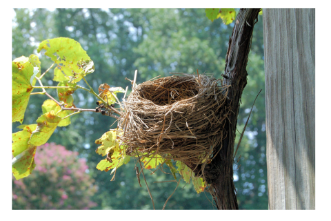 Lifestyle Changes as an Empty Nester