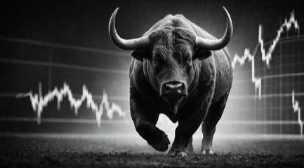 The Bulls Were Running