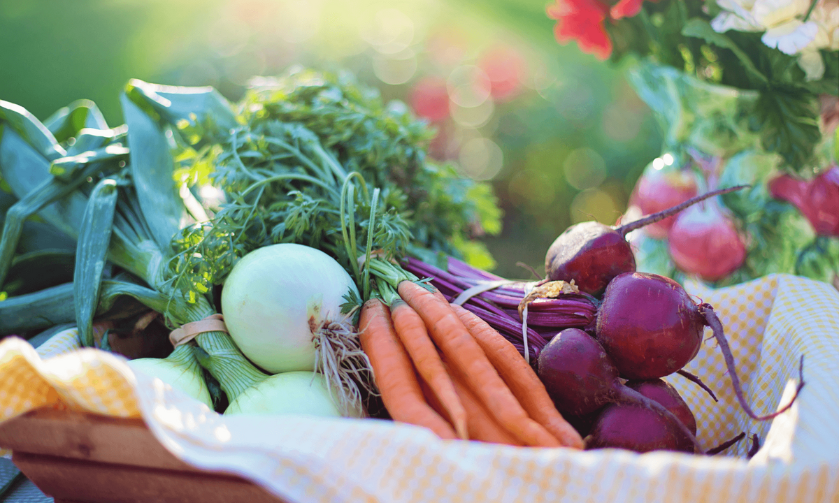 National Nutrition Month: Investing in Your Health and Wealth
