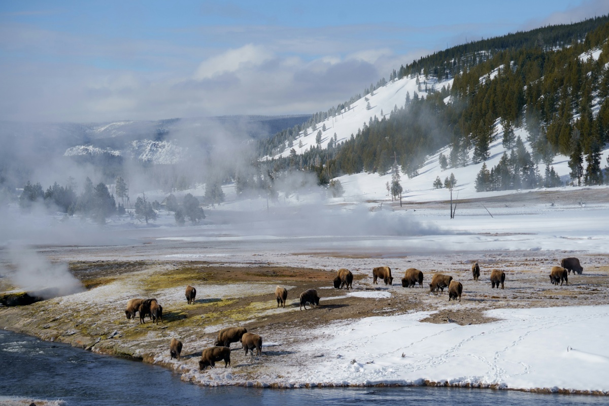 Winter Weather Preparedness: Insurance Tips for Wyoming Homeowners