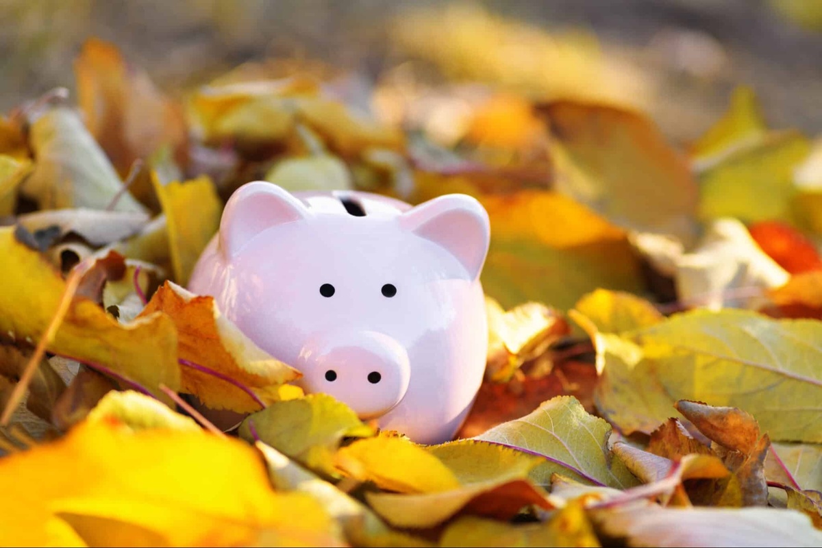 A Fall Financial Check-In: 5 Things to Review Before Year-End