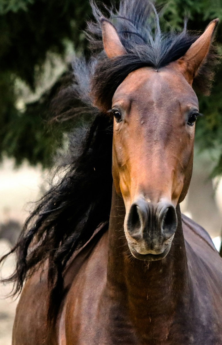 Weekly Market Insights: Fed Goes Dove; Investors Retreat