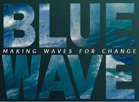 Blue Wave - Our Semi Annual Newsletter