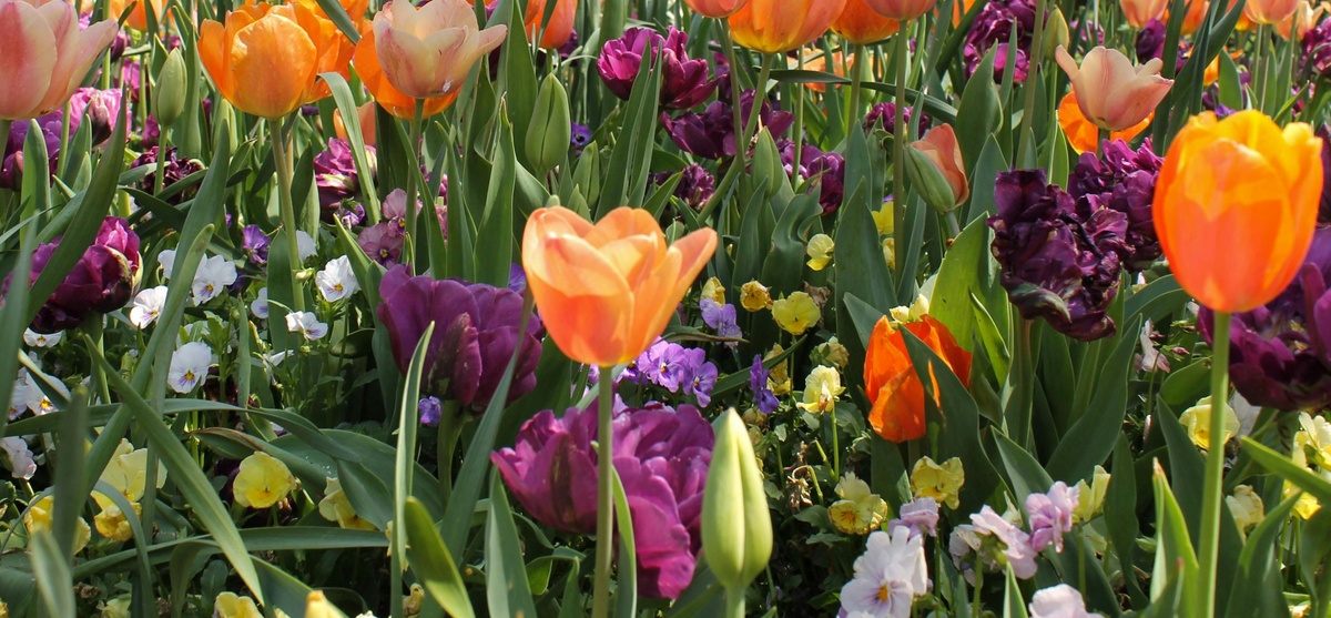 Spring Cleaning Your Finances: A Fresh Start for Your Financial Life