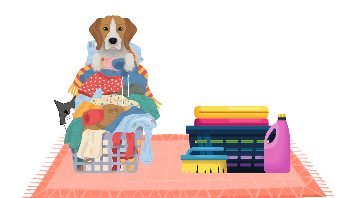 Financial Spring Cleaning: Refresh and Simplify Your Finances