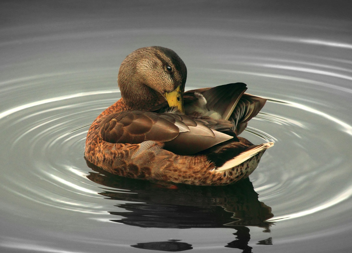 Weekly Market Insights: Solid Week Despite Mixed Reports