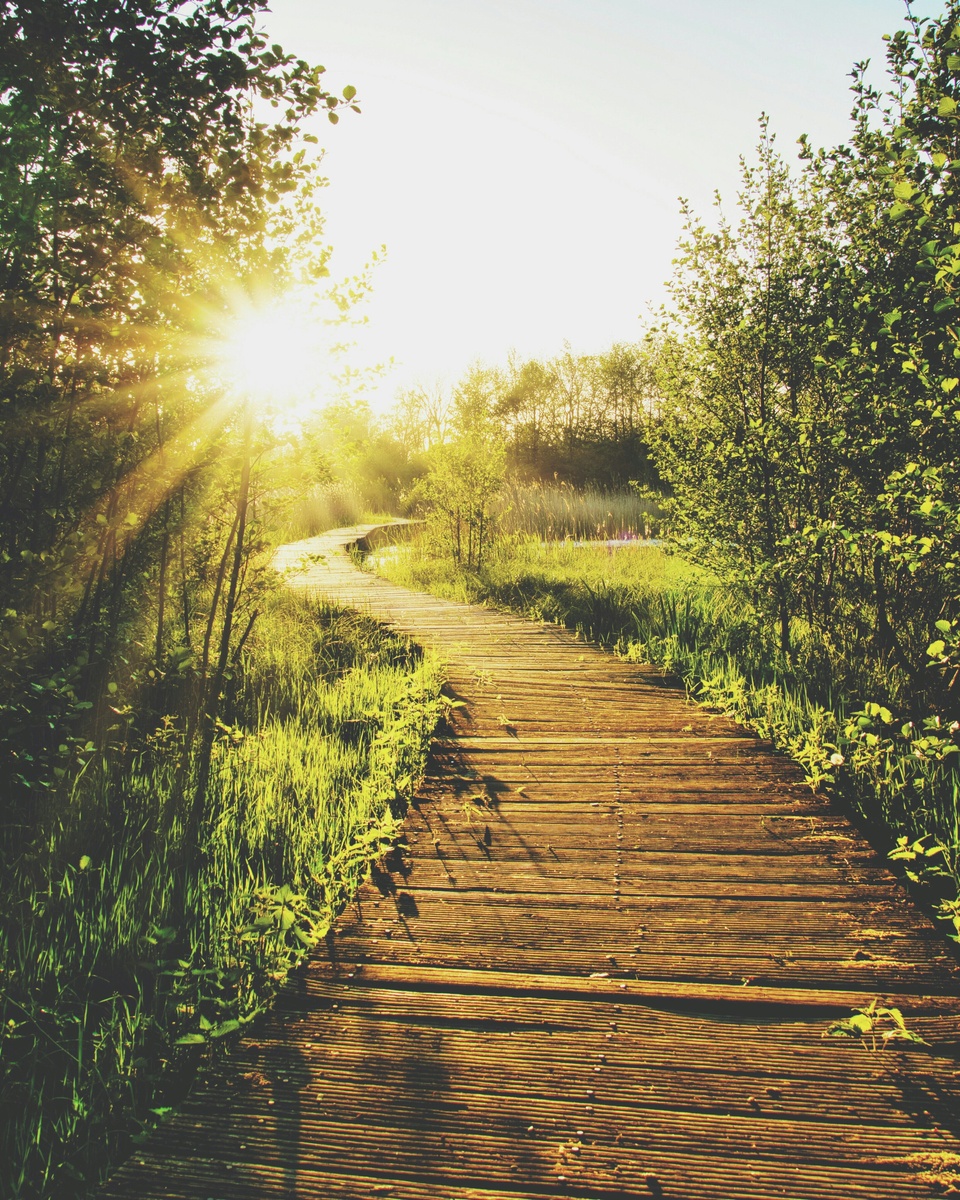 Can We Reverse Disease and Illness…Even Cancer?