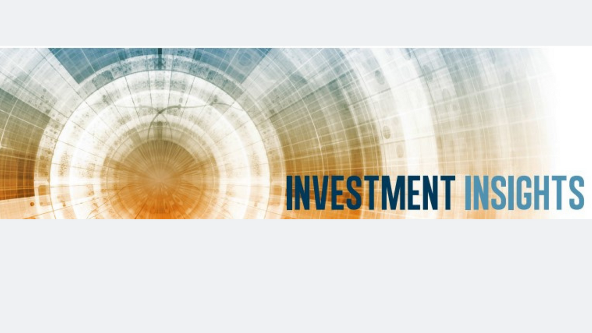 Investment Insights- February 2022