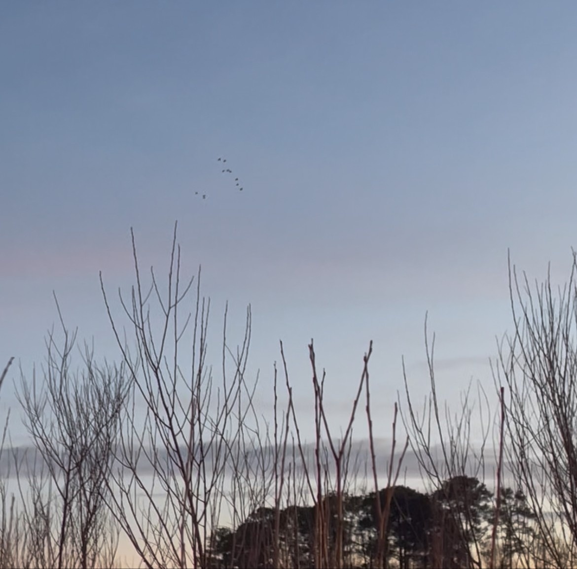 Retirement Expertise without Retiring