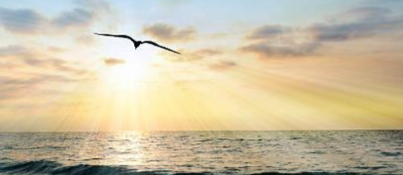 What You Should Know About Taxes When a Relative Passes Away