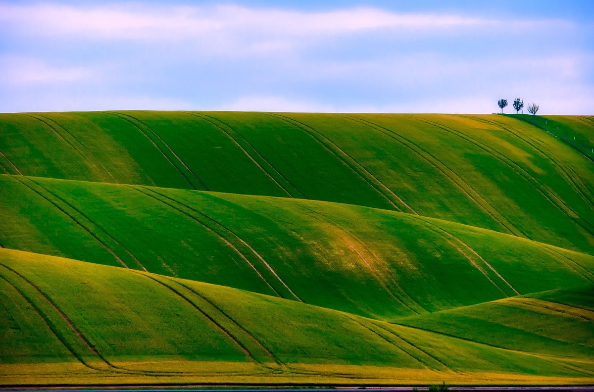 Rolling Hills or Rolling Recession?