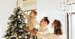 Ditch the Wrapping Paper: 2024 Gift Guide