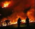 Outsmarting the Spark: Your Essential Wildfire Readiness Guide